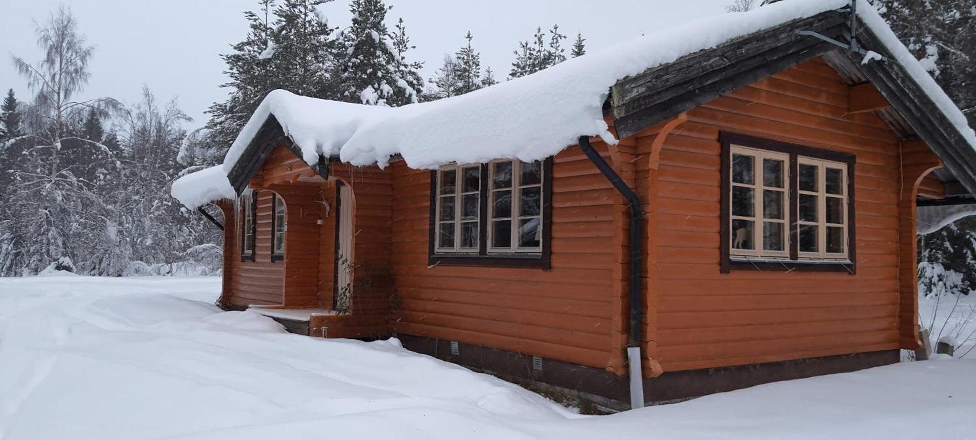 B&B Camp Aengra Lassekrog Kültér fotó