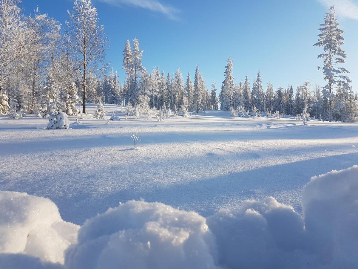 B&B Camp Aengra Lassekrog Kültér fotó