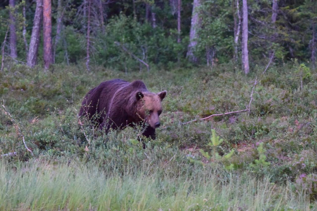 B&B Camp Aengra Lassekrog Kültér fotó